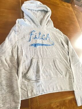 Abercrombie & Fitch Light Gray Hoodie with Navy Accent
